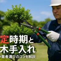 画像2761