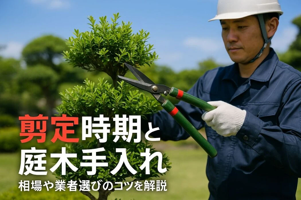 画像2761