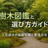 画像2777