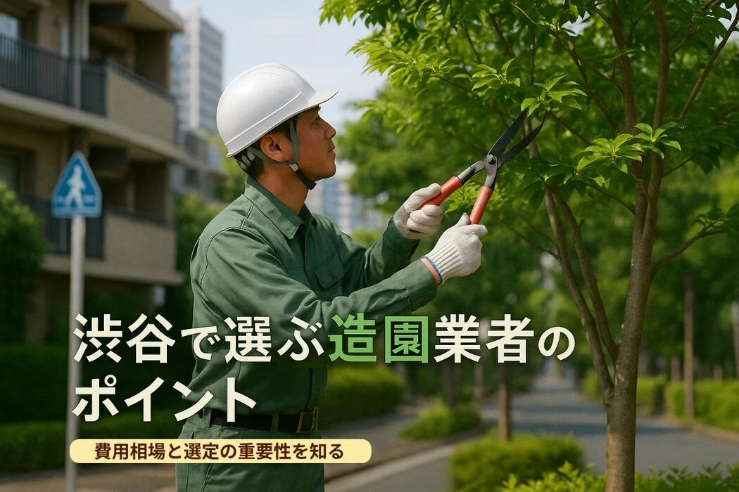 画像4811