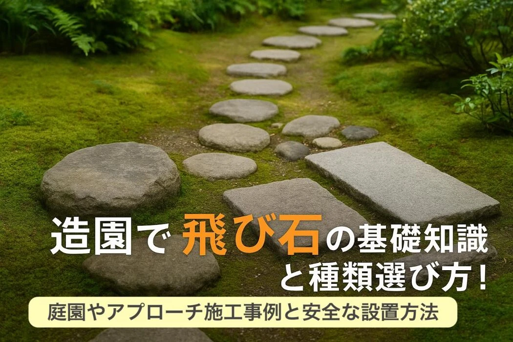画像5645