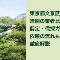 画像5831