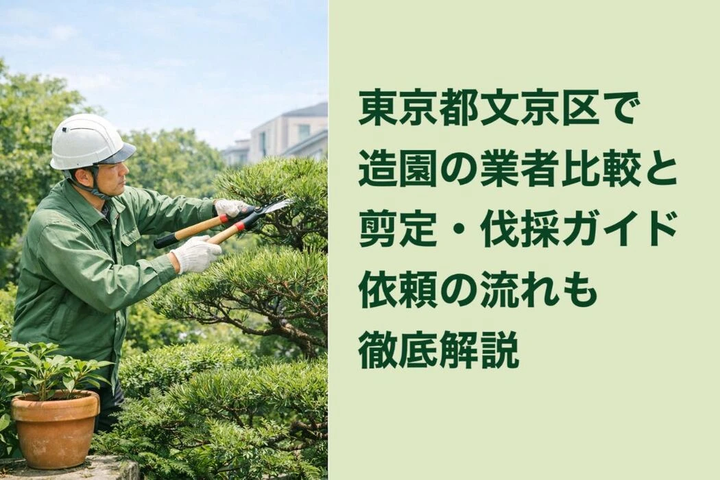 画像5831