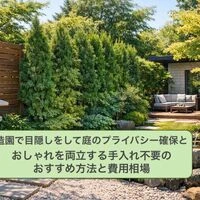 画像6403