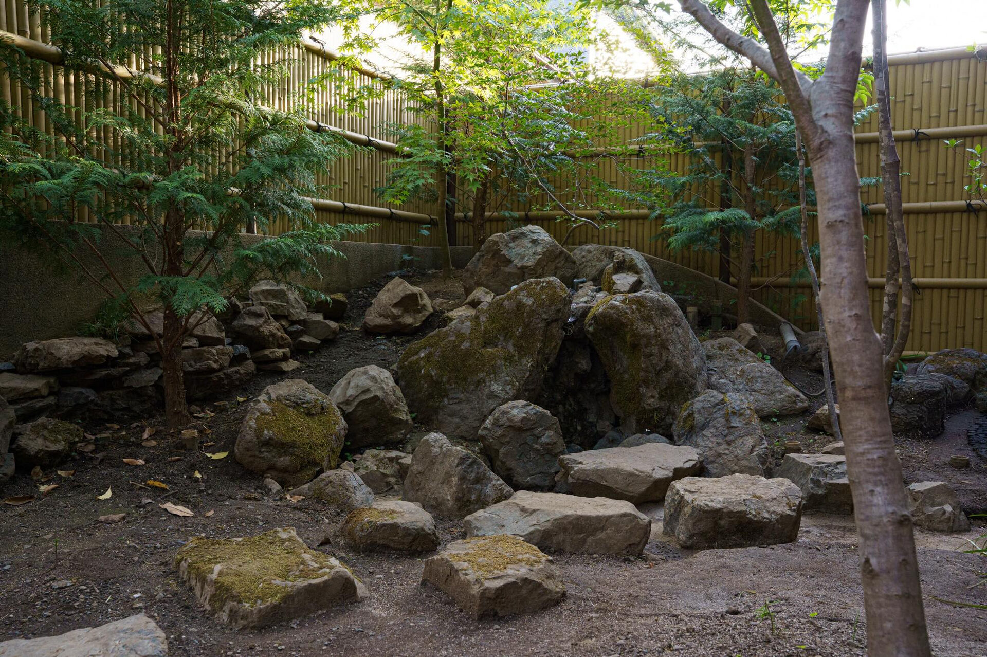 （西東京の庭）